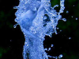 transient
